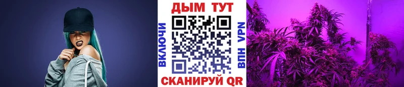 Продажа наркотиков Куса A PVP Канабис Меф АМФ ГАШИШ