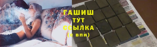 гидра Новодвинск