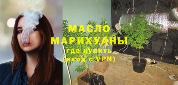 гидра Новодвинск