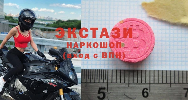 гидра Новодвинск