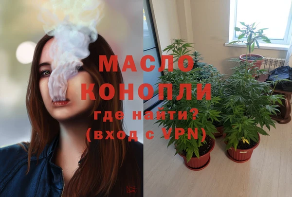 гидра Новодвинск
