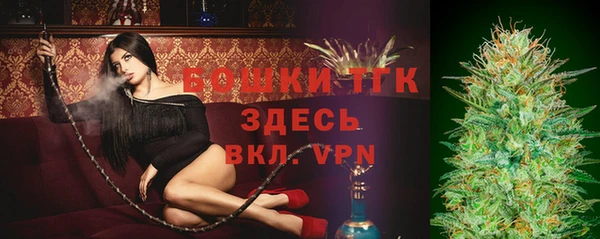 гидра Новодвинск