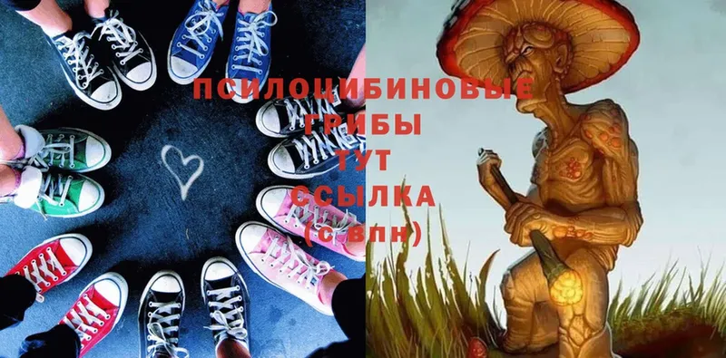 Псилоцибиновые грибы Magic Shrooms  Куса 